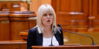 Elena Udrea, despre modificarile Codului Penal: 